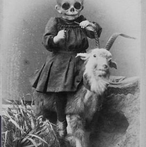 Meet your Posher, Doug